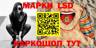 молекула духа Ставрополь