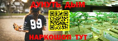 молекула духа Ставрополь