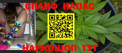 молекула духа Ставрополь