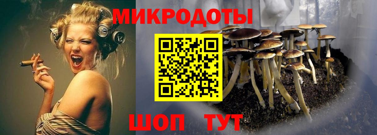 Бахчисарай  Галлюциногенные грибы Psilocybine cubensis  Псилоцибиновые грибы мицелий  Вход с VPN 